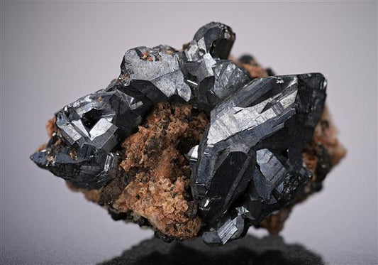 CC13163 specimen image