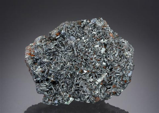 CC13173 specimen image