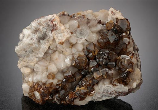 CC13187 specimen image
