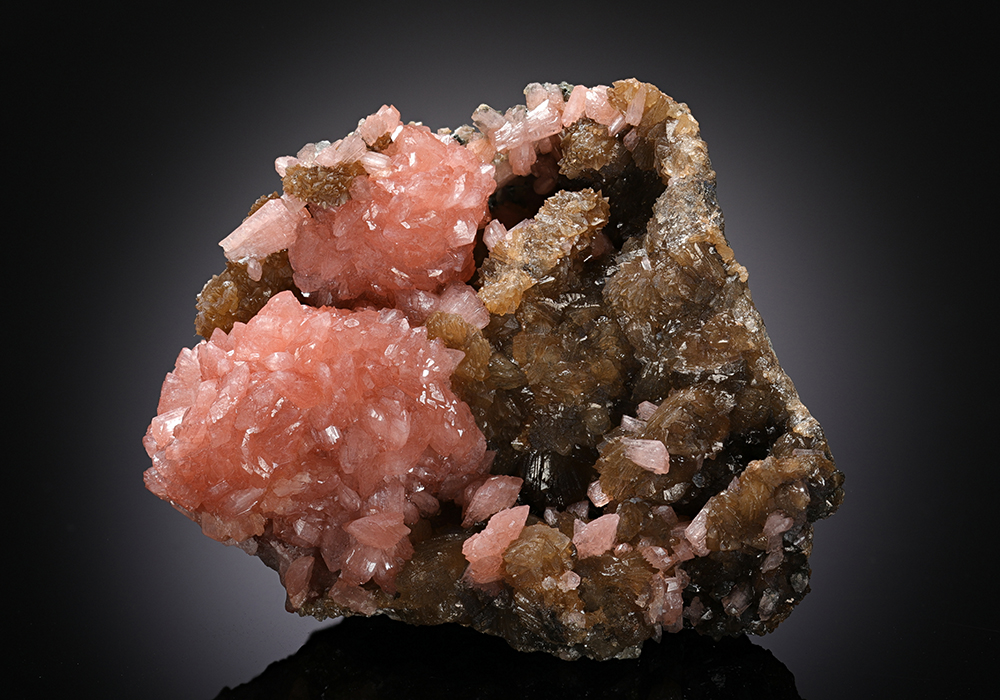 CC13203 specimen image