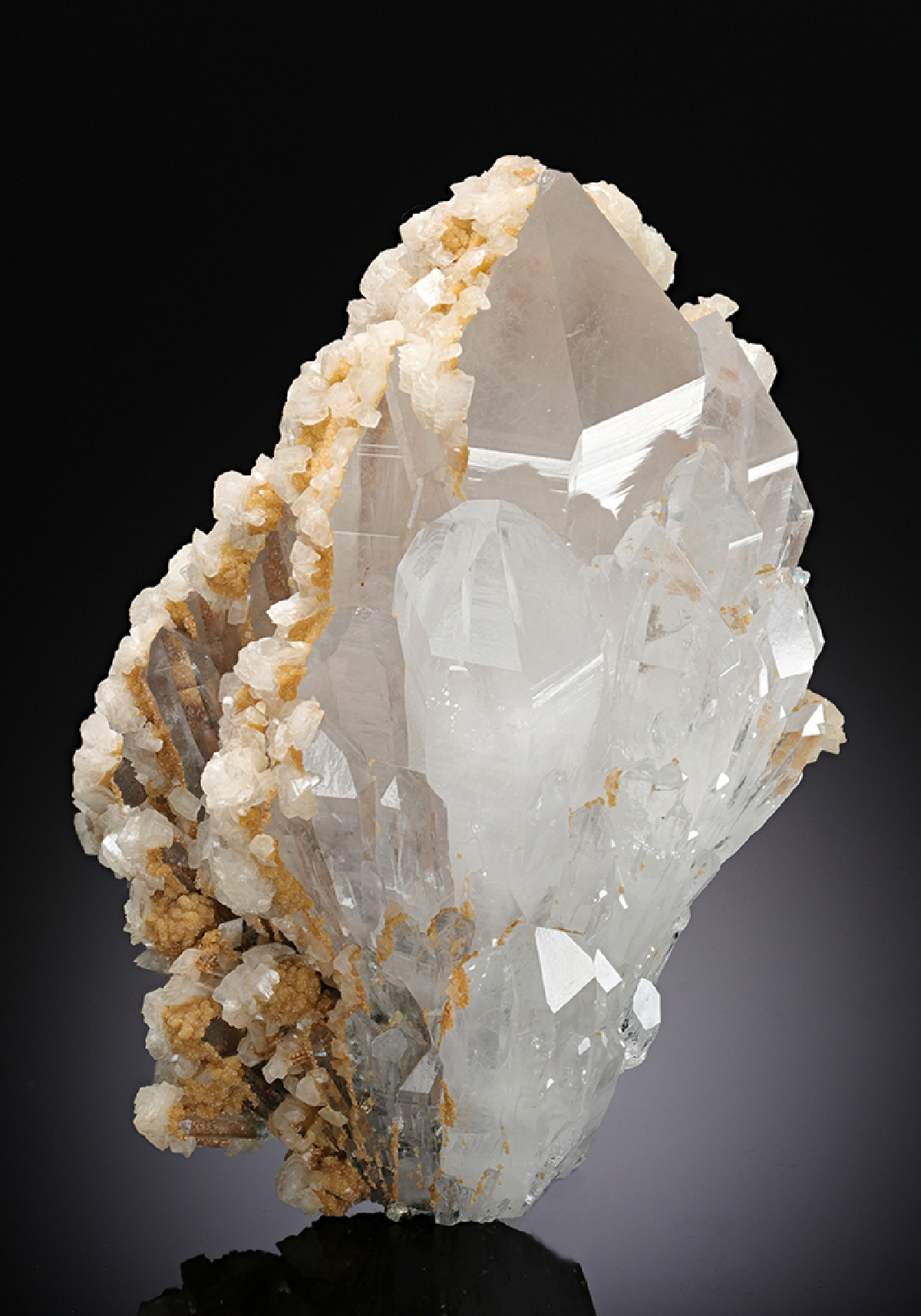 CC13209 specimen image