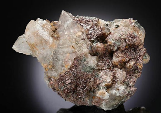 CC13215 specimen image