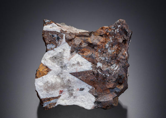CC13218 specimen image