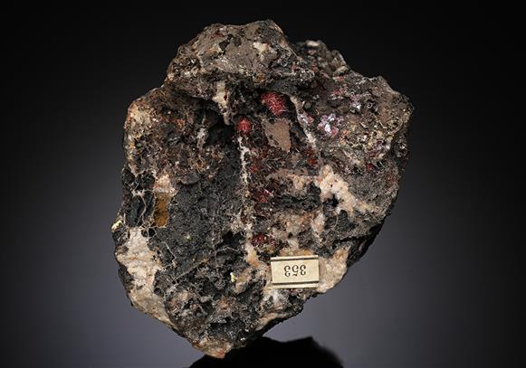 CC13235 specimen image