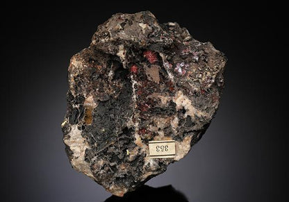 CC13235 specimen image