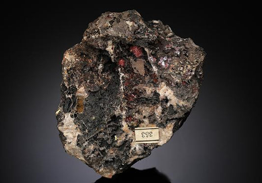CC13235 specimen image
