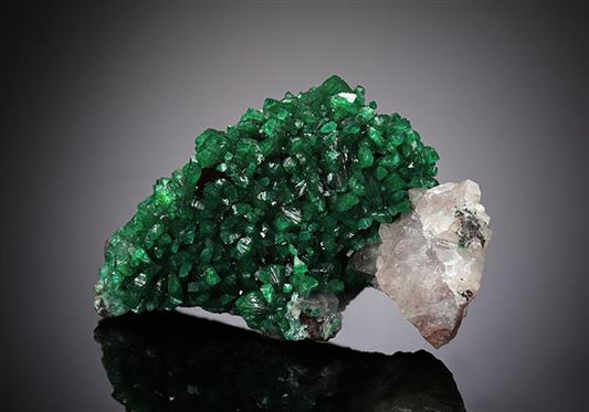 CC13244 specimen image