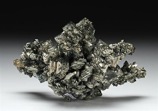 CC13246 specimen image