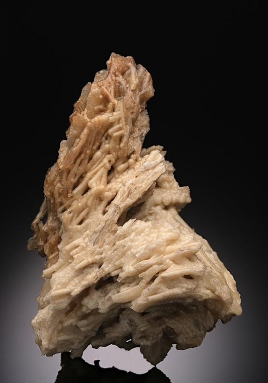 CC13255 specimen image