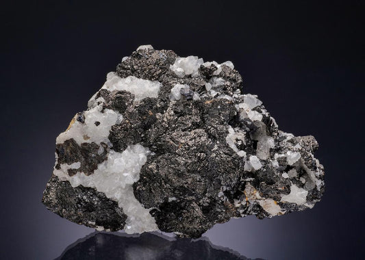 CC13272 specimen image