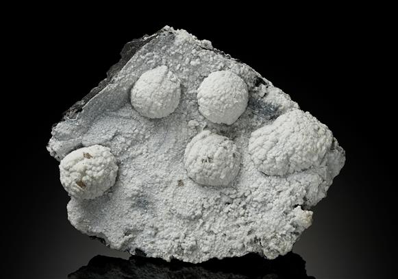 CC13274 specimen image