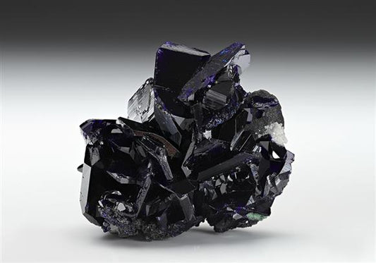 CC13284 specimen image