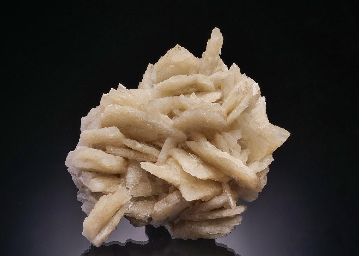 CC13287 specimen image