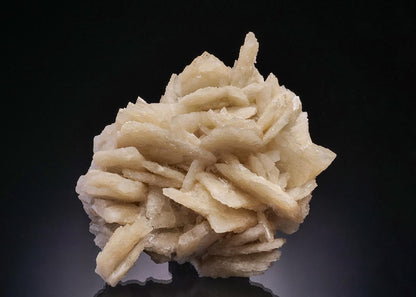 CC13287 specimen image