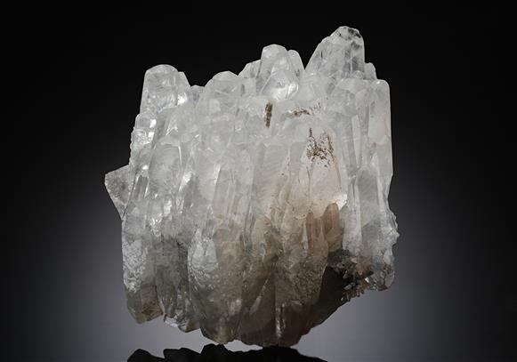 CC13290 specimen image