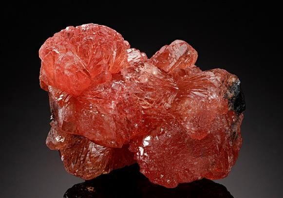 CC13293 specimen image