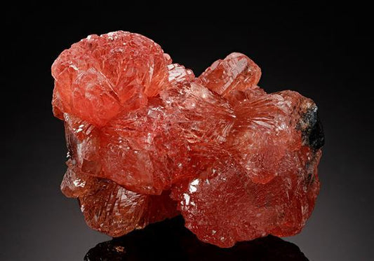 CC13293 specimen image