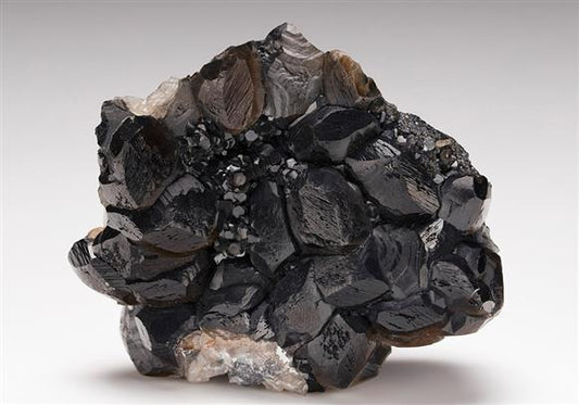 CC13294 specimen image