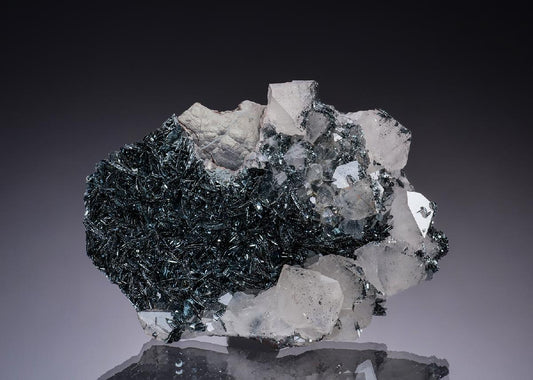 CC13296 specimen image