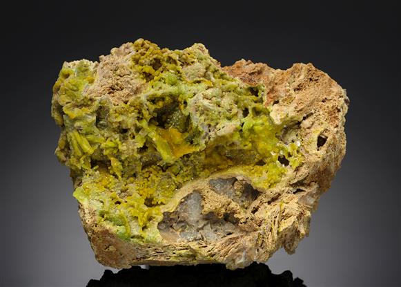 CC13297 specimen image