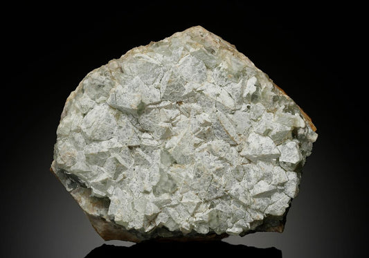 CC13298 specimen image