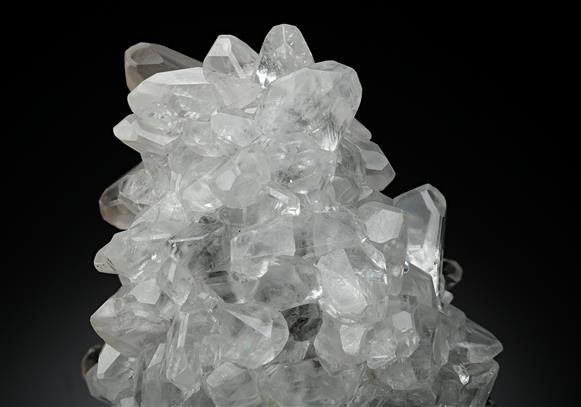 CC13299 specimen image
