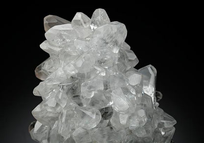 CC13299 specimen image
