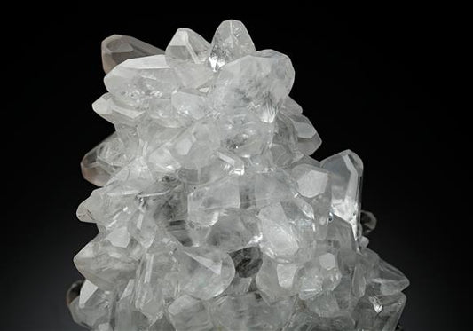 CC13299 specimen image
