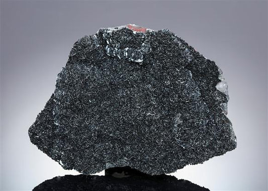 CC13305 specimen image