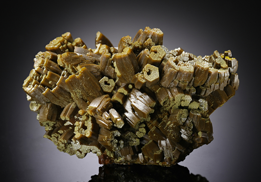 CC13312 specimen image