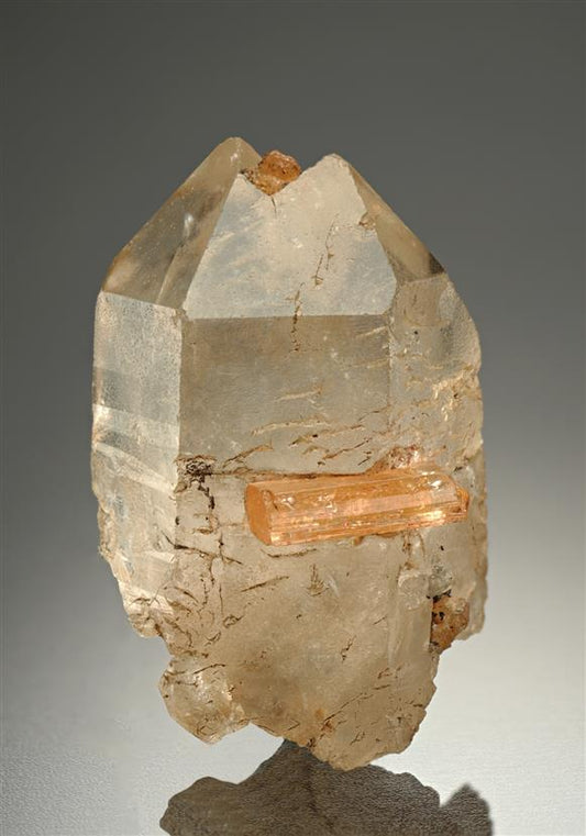 CC13314 specimen image