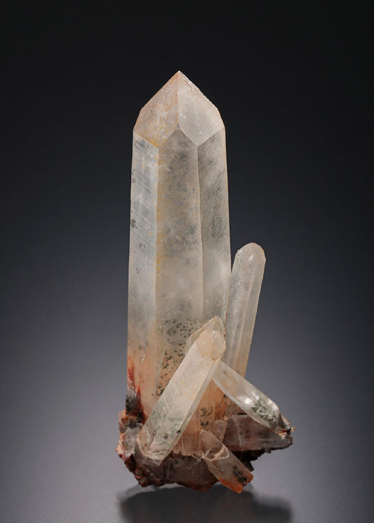 CC13328 specimen image
