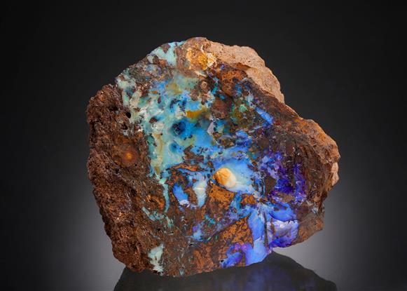 CC13343 specimen image