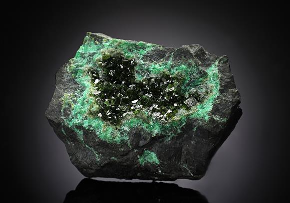 CC13373 specimen image