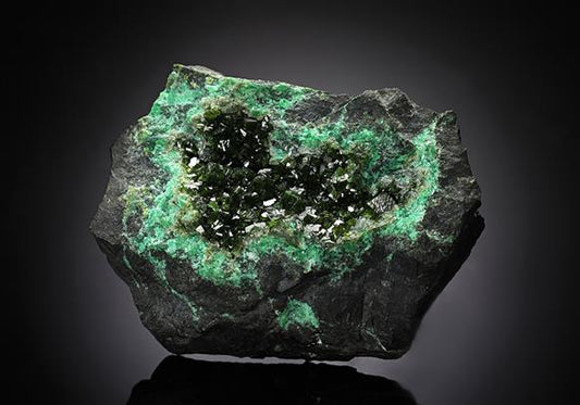 CC13373 specimen image