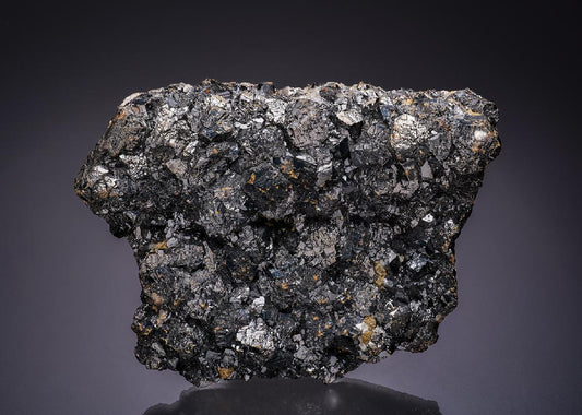 CC13386 specimen image