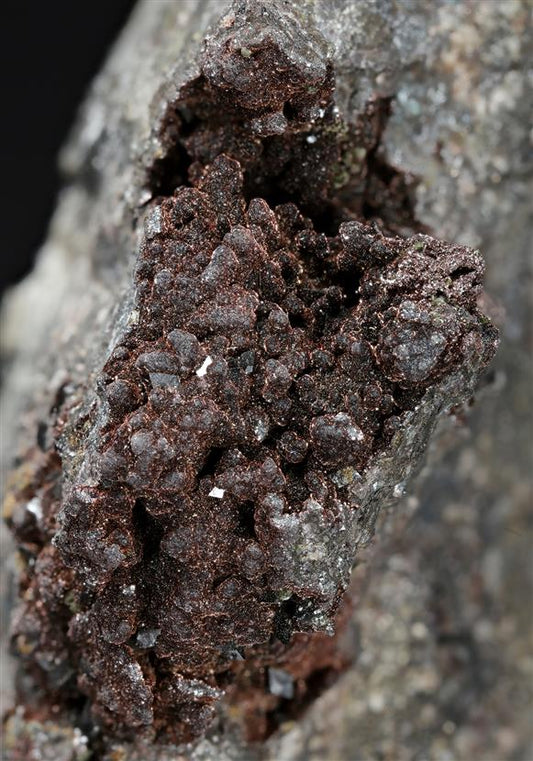 CC13390 specimen image
