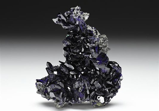 CC13393 specimen image
