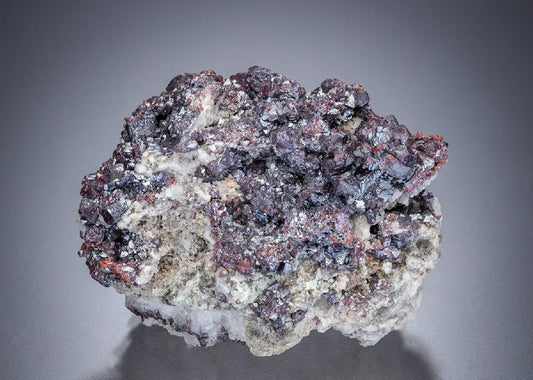 CC13401 specimen image