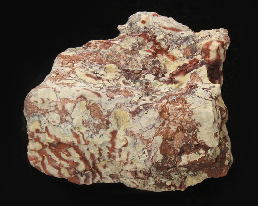 CC13413 specimen image