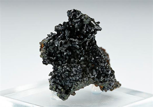 CC13418 specimen image