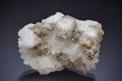 CC13434 specimen image