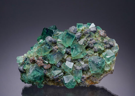 CC13447 specimen image