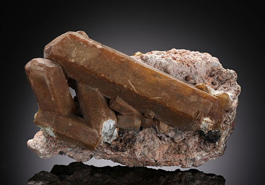 CC13454 specimen image