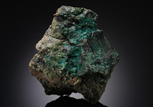 CC13467 specimen image