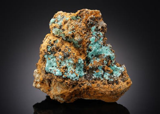 CC13494 specimen image