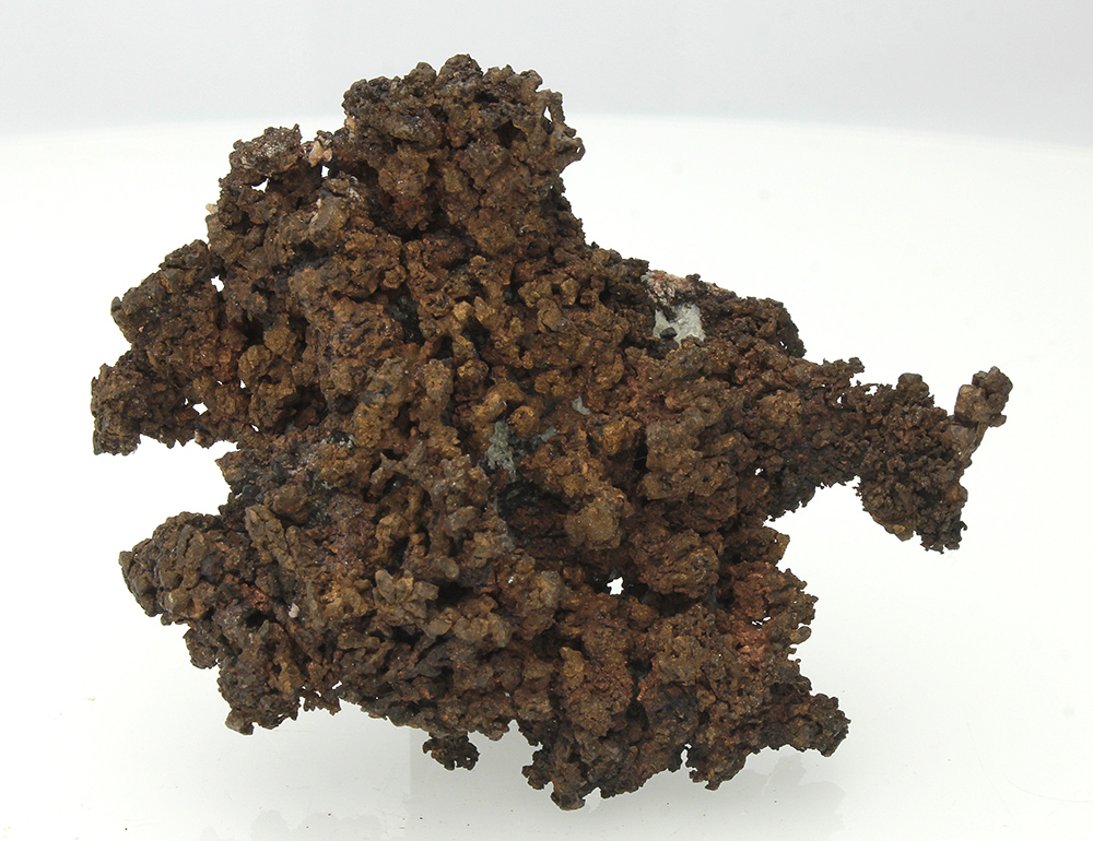 CC13514 specimen image