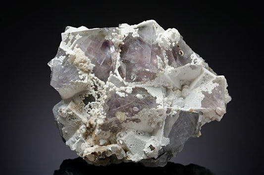 CC13518 specimen image