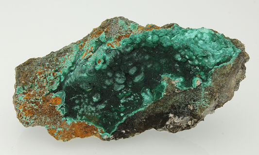 CC13519 specimen image