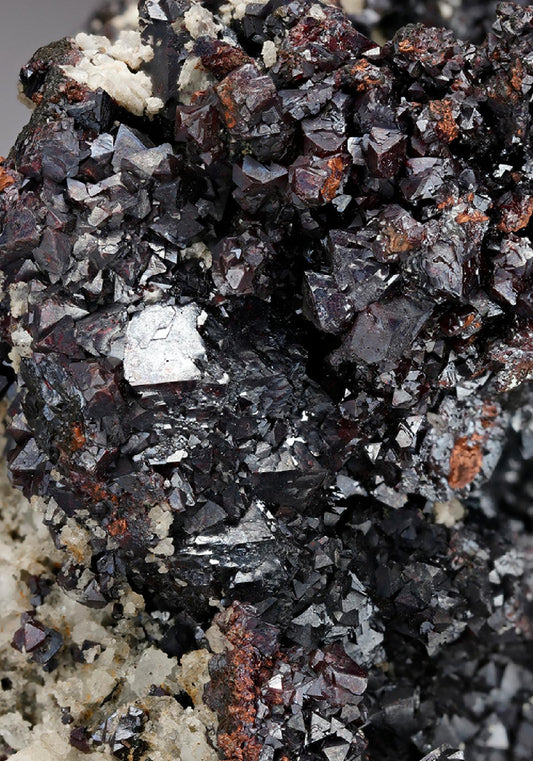 CC13539 specimen image